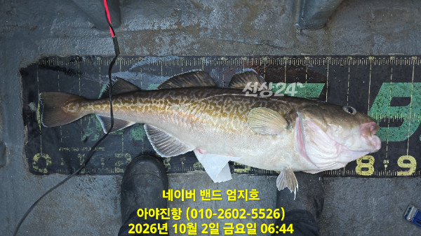 10월 2일 아침 출항 장면 / 왕대구 랜딩 순간