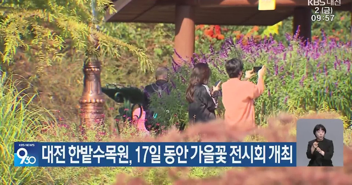 동원·서원에서 만나는 가을꽃 전시 (사진)