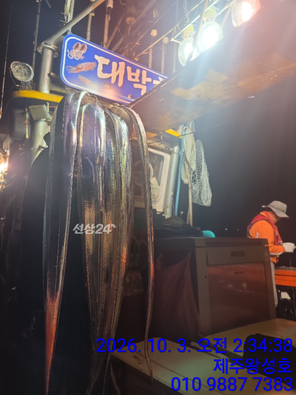 10월 3일 새벽 갈치 조과 / 출처: 선상24