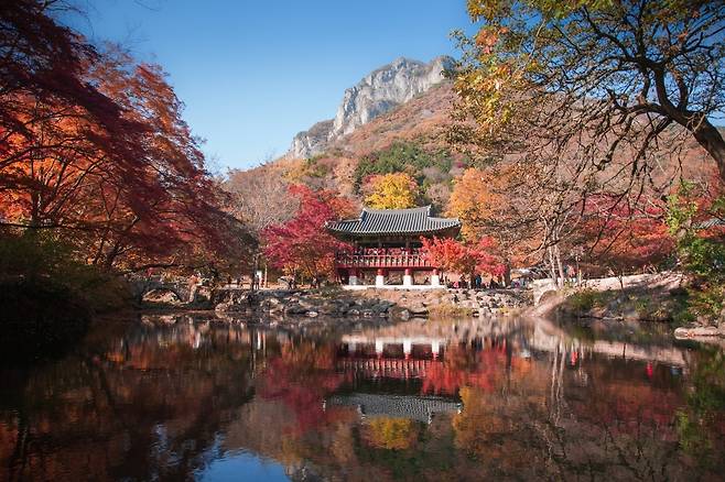 하반기 반값여행 안내 / 자료: 문화체육관광부·한국관광공사 (사진=세계일보)