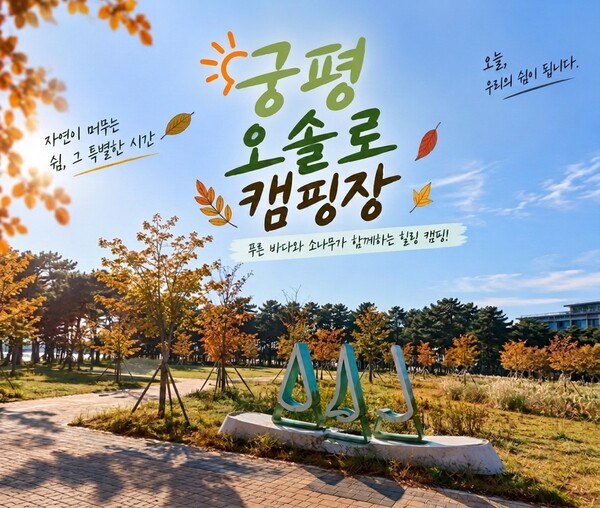 궁평오솔로캠핑장 안내 이미지 / 출처: 일간신문